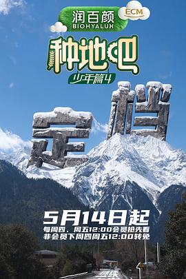 风起时想你电视剧剧照